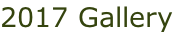 2017 Gallery
